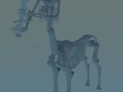 Centaur Model Part 2 Rigged and animations Free low-poly 3D model