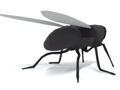 Low Poly Cartoon Fly  Low-poly 3D model