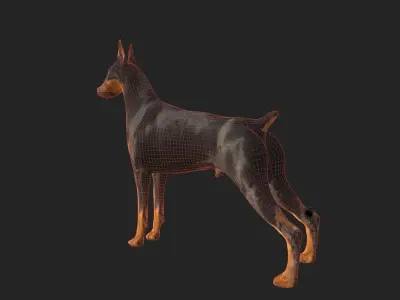 Dobermann Dog Low-poly 3D model