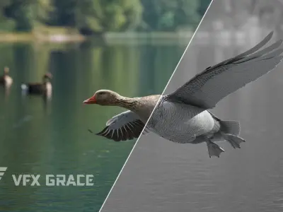 Goose Animation VFX Grace 3D model