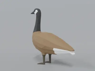 Low Poly Cartoon Canada Goose Low-poly 3D model