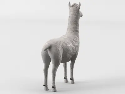 Low Poly Animal Cartoon Lama - Alpaca -  llama - Unwapped 4K Low-poly 3D model
