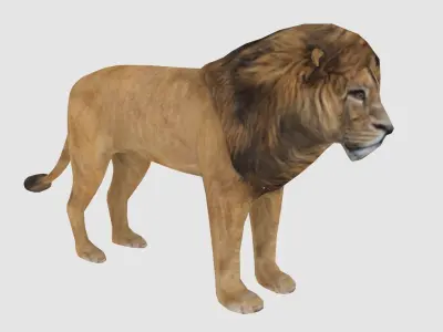 animals Low-poly 3D model