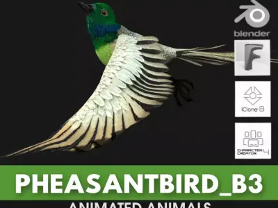 PheasantBird B3 3D model