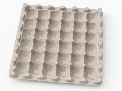 Egg Carton 3D Model purchase