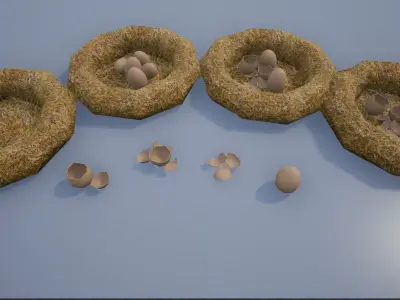 Birdnests and Eggs hatched and remains Low-poly 3D model