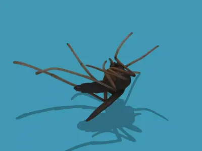 Dead mosquito Low-poly 3D model