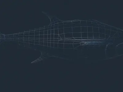 Tuna 3D model bluefin Low-poly 3D model
