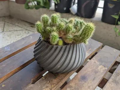 Spiral Cactus Pot A 3D Printed Minimalist Design Free 3D print model