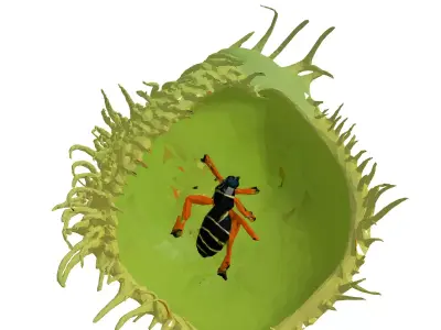 Venus Flytrap with Insect 3D Model Low-poly 3D model