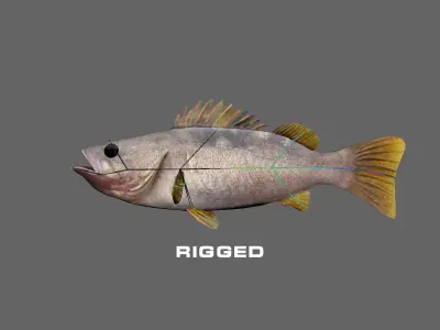Low-Poly Olive Rockfish Animated Low-poly 3D model