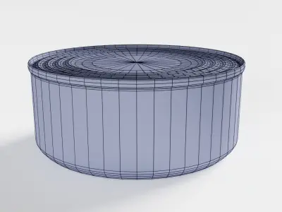 Canned Solid White Albacore 3D model