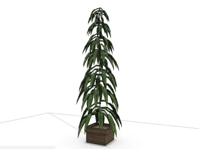 Plant Large SHC Quick Office LM Low-poly 3D model