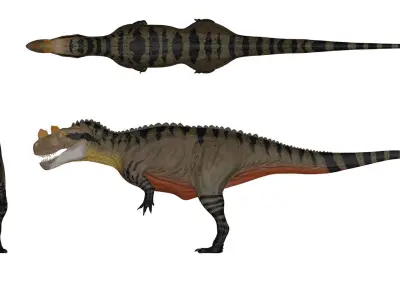 Ceratosaurus dentisulcatus Low-poly 3D model