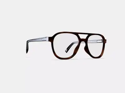 Fielder Eyeglasses in Cognac Tortoise Matte 3D model