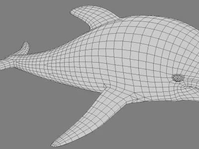 Dolphin model Low-poly 3D model