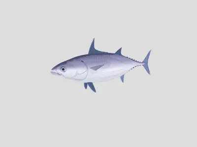  Fish Collection 02 Low-poly 3D model