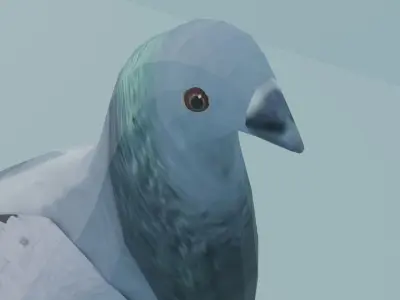 pigeon Low-poly 3D model