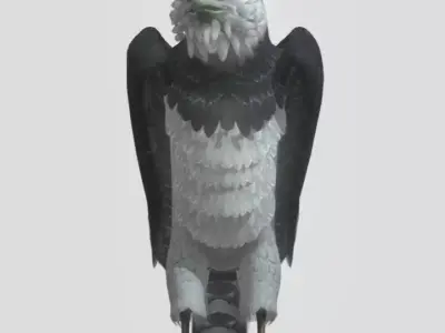 Harpy eagle Low-poly 3D model