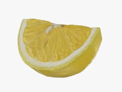 Fresh Lemon Slice 3D model