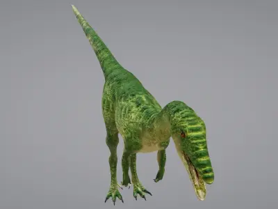 Coelophysis dinosaur 3D model