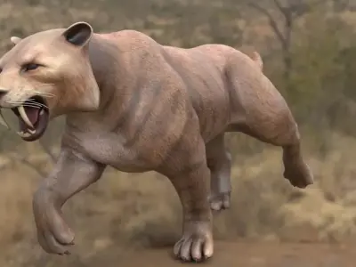 lione panther running in wild 3D model