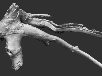 Tree root 3d scan in highpoly 3D model