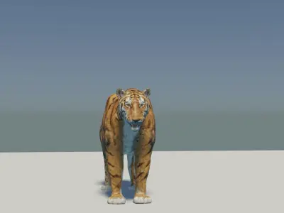Tiger rigged 3D Model 3D model