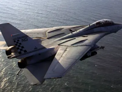 Grumman F-14 Tomcat 3D model