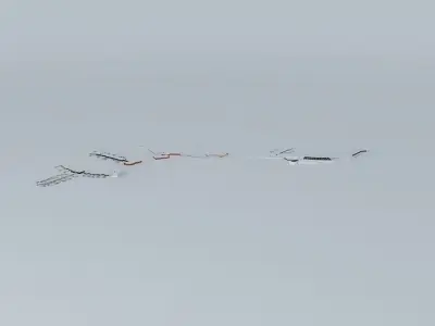 Philadelphia International Airport [Once More Improved Free 3D model