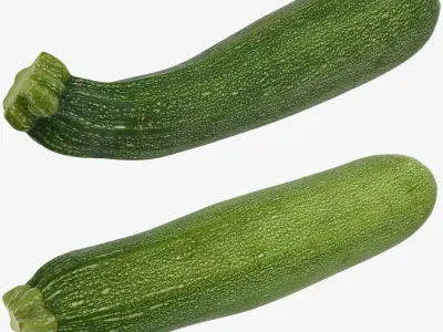 Zucchini Set 3D model
