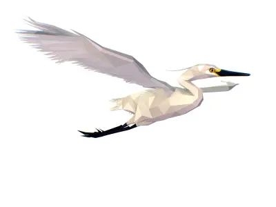 Animated Storck Low Poly Art Low-poly 3D model