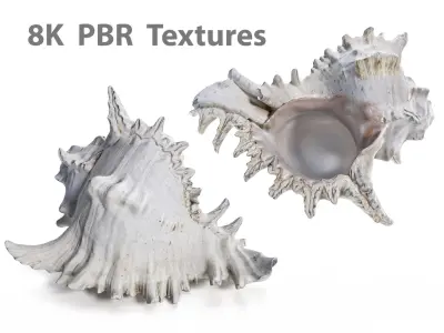 Ultimate Marine Bundle 9 Professional Photogrammetry Scans 8K PBR 3D model