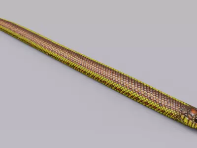 Animated Yellow Snake Free 3D model