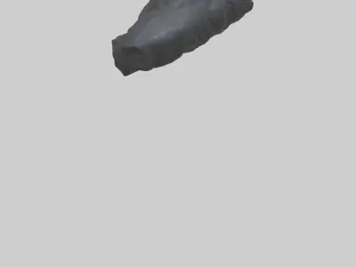 Gorilla Rib Low-poly 3D model