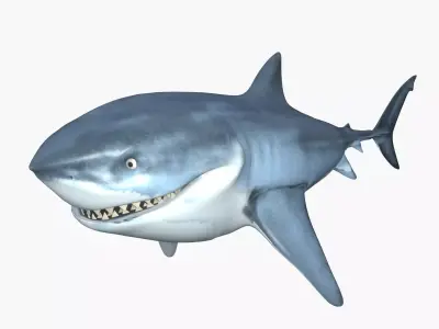 Bruce The Shark Low-poly 3D model