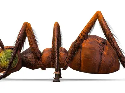 LowPoly Giant Crimson Ant Low-poly 3D model