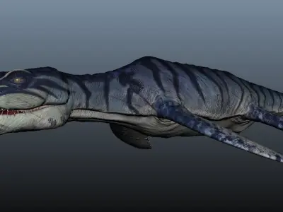 Liopleurodon dinosaur 3D model