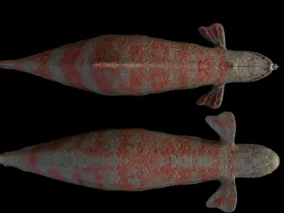 Island Monster Leviathan 3D model