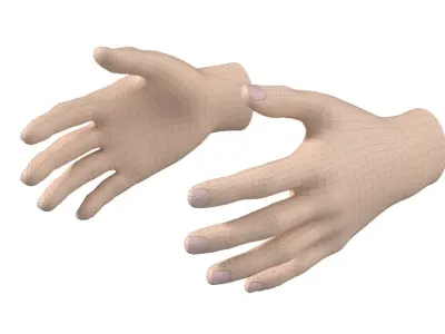 Female Hand Base Mesh 01 3D model