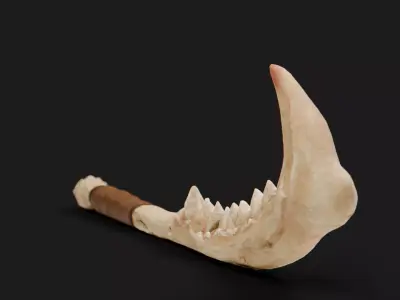 Ancient Bone Machete Low-poly 3D model