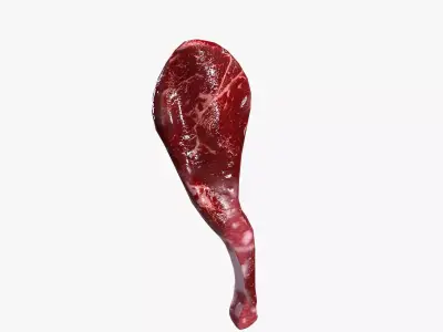 Goat Leg V01 Low-poly 3D model