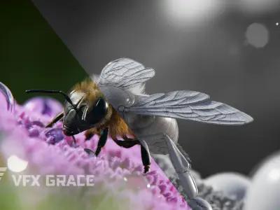Honey bee Animated VFX Grace 3D model