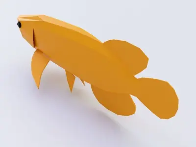Asian arowana fish low poly 3d model  Low-poly 3D model