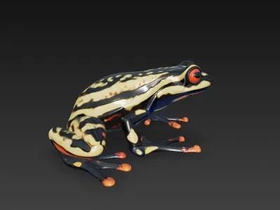 Frog Poisonous Realistic 3D Model Basic - Low Poly Realistic Low-poly 3D model