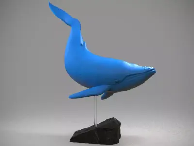 Blue Whale Free 3D print model