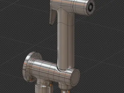 Luxury Shower Spray 3D model