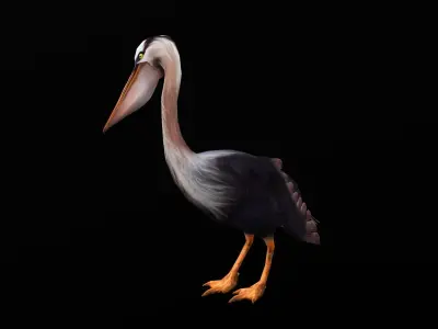 low-poly animated pelican pelecanus Low-poly 3D model