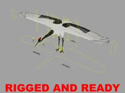 Grus Japonensis 'Red-crowned Crane' 3D model