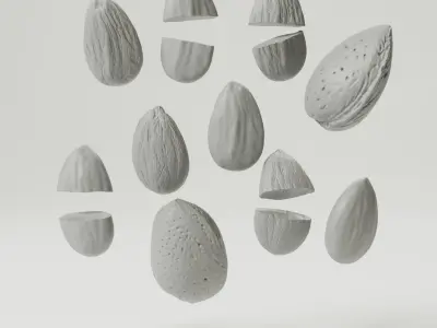 Almonds 3D model